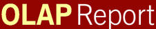 The OLAP Report