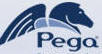 Business Process Management (BPM)